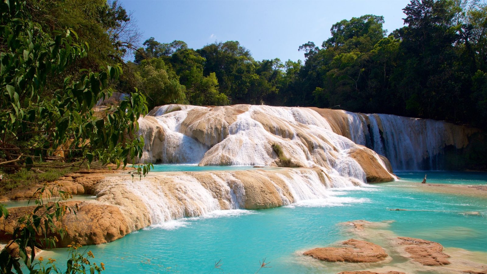 CASCADAS DE AGUA AZUL CON TRANSPORTACIÓN (CVU)