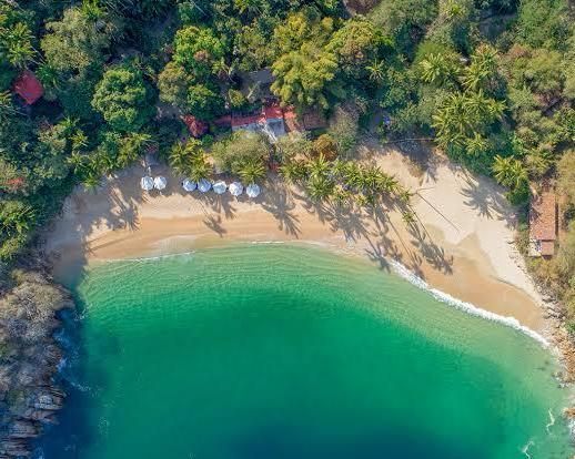 YELAPA Y MAJAHUITAS (CVU)
